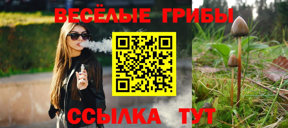 Псилоцибиновые грибы GOLDEN TEACHER  купить наркотик  Вход с VPN  Мурино  Галлюциногенные грибы мицелий 